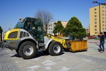 Borovice_02.jpg