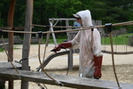 4304.jpg