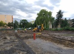 IMG_20200702_074953.jpg