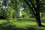 1. Park Bedřicha Smetany.jpg