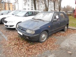DSCN6509_Felicia_modrá_Březová538.JPG