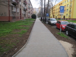 P1010079.JPG