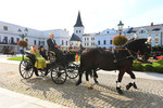 1817. Zámek, DED, kočáry.jpg