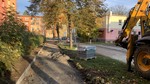 IMG_3166.jpg