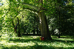 DSC05865.JPG