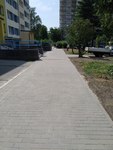 IMG_20220729_111351.jpg
