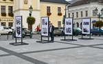 perex_instalace Open Air_Permoník.jpg