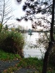 IMG_20221101_143408.jpg