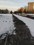 IMG_20240117_080535.jpg