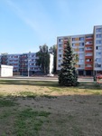 nedbalova nova.jpg