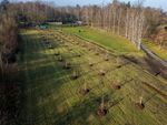 DJI_20251210100738_0997_D.jpg